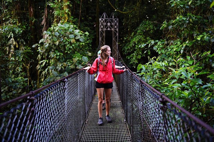 Hanging Bridge